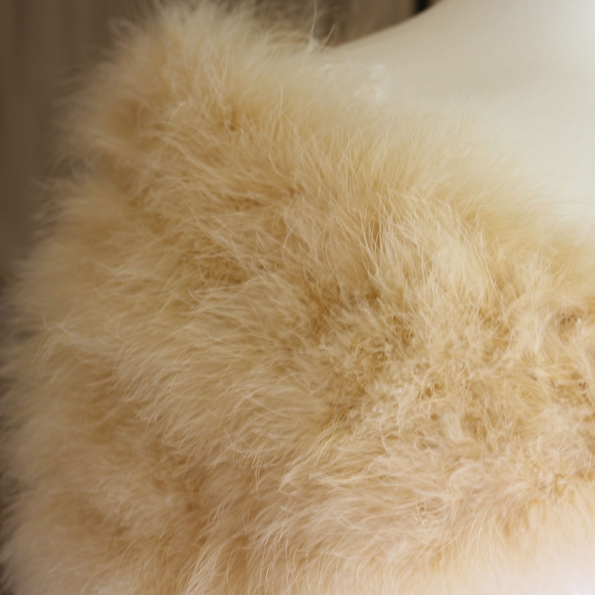 Hollywood Glam Sheer Fluffy Floor-length Feather Robe